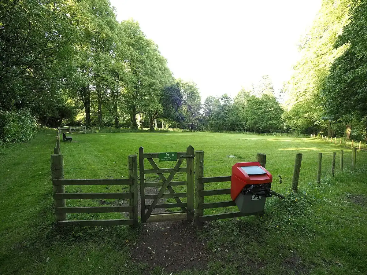 Hondenuitlaatplaats op een caravan-camping — huisdieren en campingregels