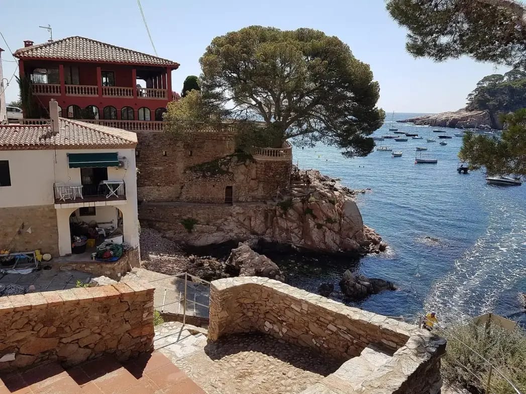 De baai Aiguablava bij Begur met turquoise water en pijnbomen